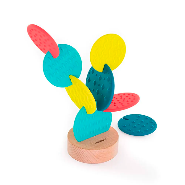 Cactus sensorial