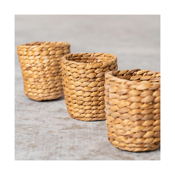 Pack 3 bols de Jacinto de Agua Ø10 cm