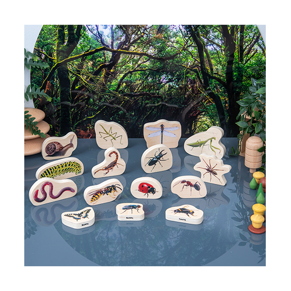 Set 15 bloques madera insectos