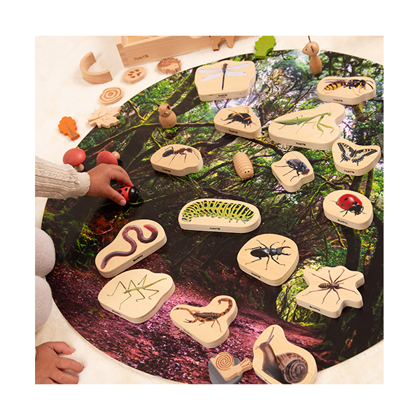 Set 15 bloques madera insectos