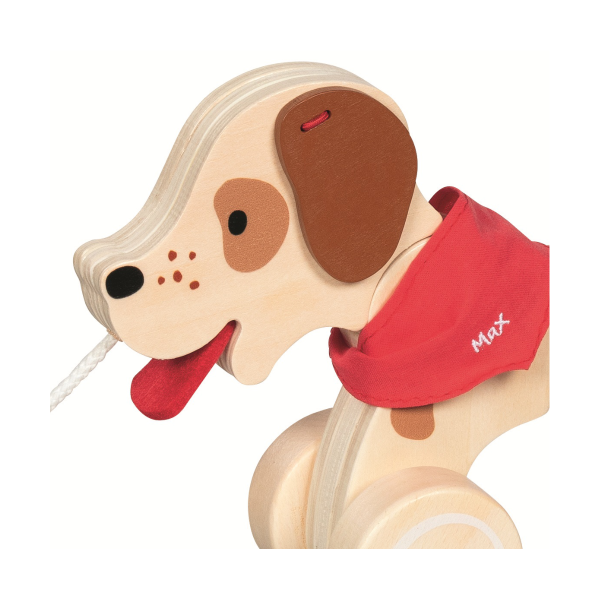 Arrastre perro Max