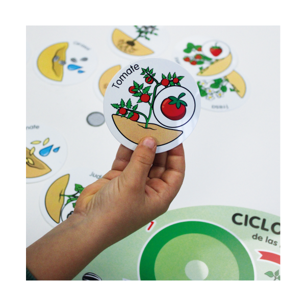 Ciclo de vida de las plantas
