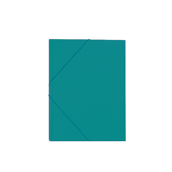 Carpeta gomas solapa PVC Verde